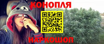 индика Обь