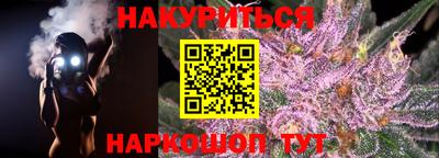 индика Обь
